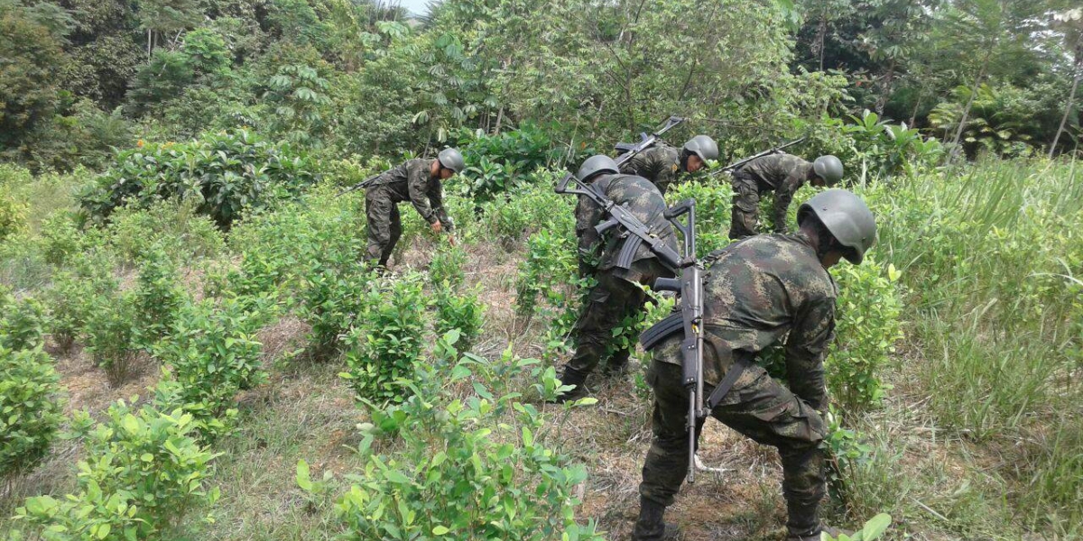 Foto: Ejército. Hombres del Ejército durante la jornada de hectáreas de cultivos ilícitos.