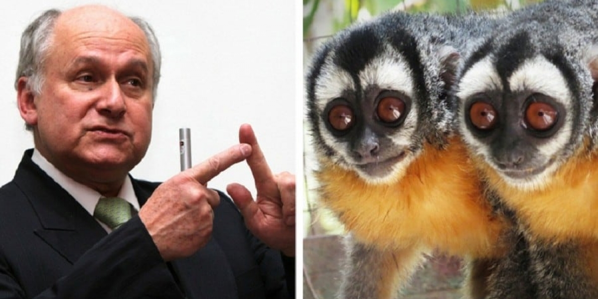Manuel Elkin Patarroyo y dos ejemplares de monos nocturnos