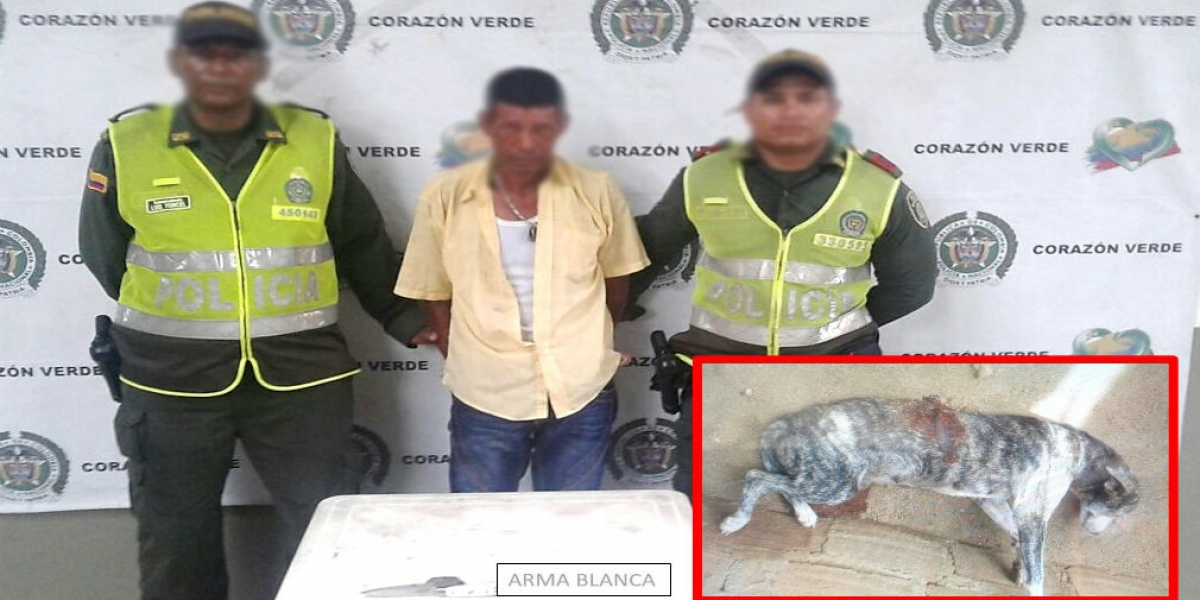 Policía del Magdalena Condenado por matar a un perro