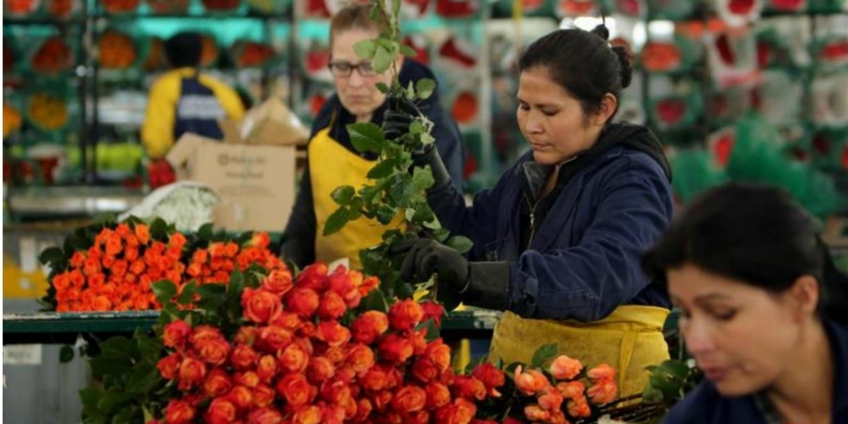 Zonacero.com Otros mercados importantes son el Reino Unido, Japón, Canadá y Rusia.