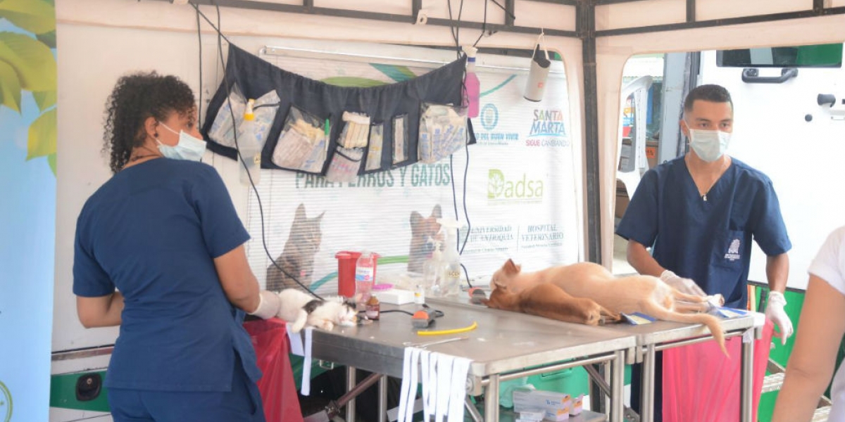 Alcaldía de Santa Marta Las mascotas fueron atendidas en la Unidad de Esterilización Móvil.