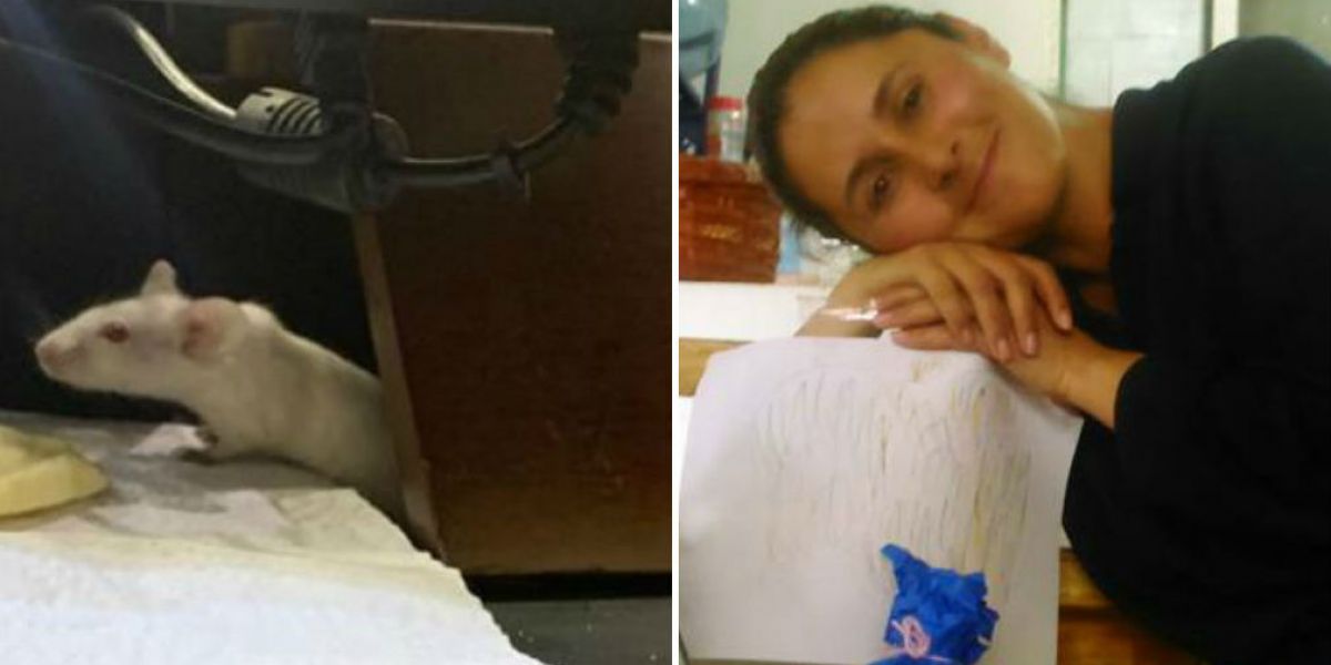 Presunta responsable del ataque con ratones