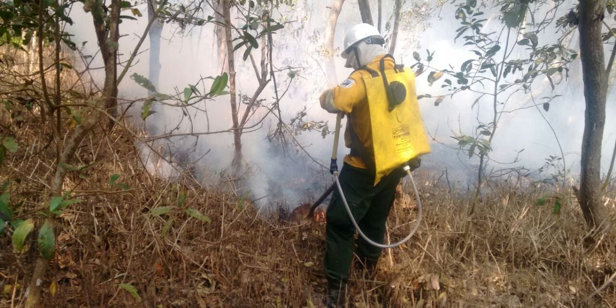 Parques Nacionales Naturales de Colombia. Bomberos trabajan para controlar la conflagración.