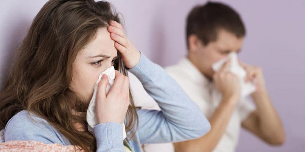 Imagen de referencia.