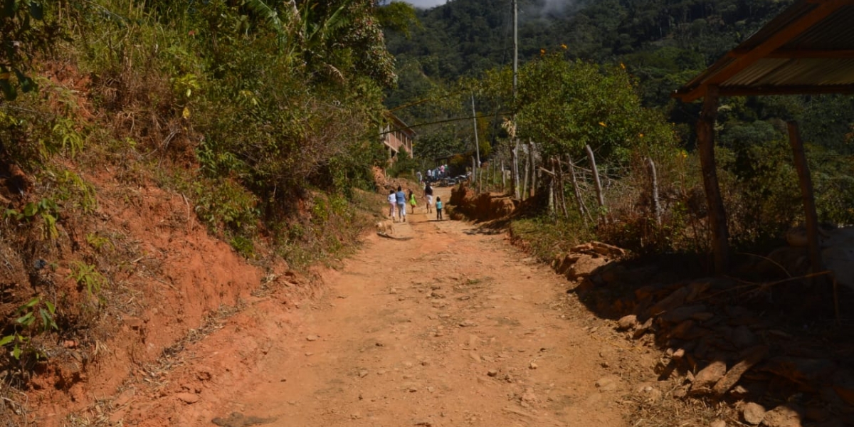 Oscar Mejía / Seguimiento.co 18 kilómetros más de placa huella construirá la Gobernación en la zona entre Minca y La Tagua.