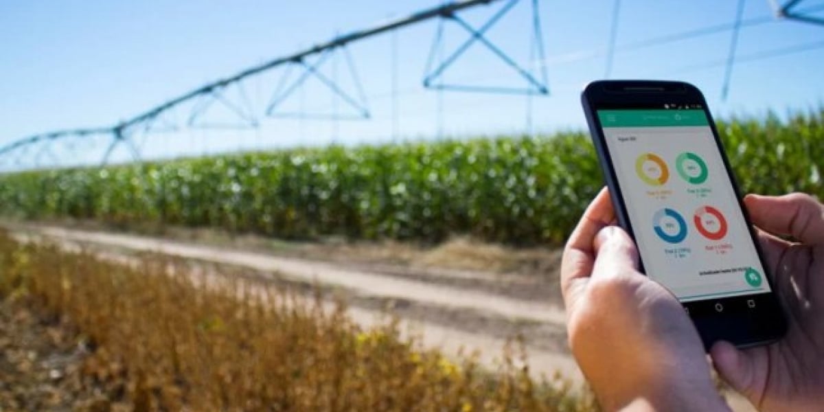 iusnoticias.com.ar Imagen de referencia