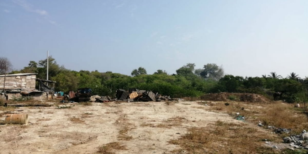 Cortesía Invasión en la Ciénaga Grande de Santa Marta.