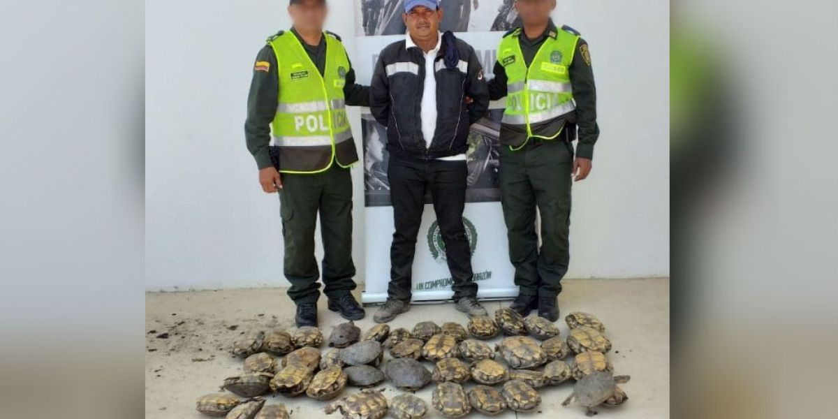 Alexander Zabaleta Aragón.