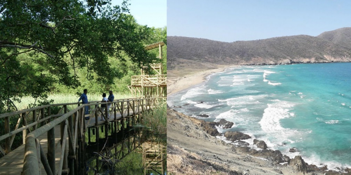 Seguimiento.co Vía Parque Isla de Salamanca y Parque Tayrona.