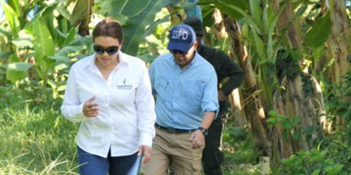 SuperServicios Natasha Avendaño, superintendente de Servicios Públicos.