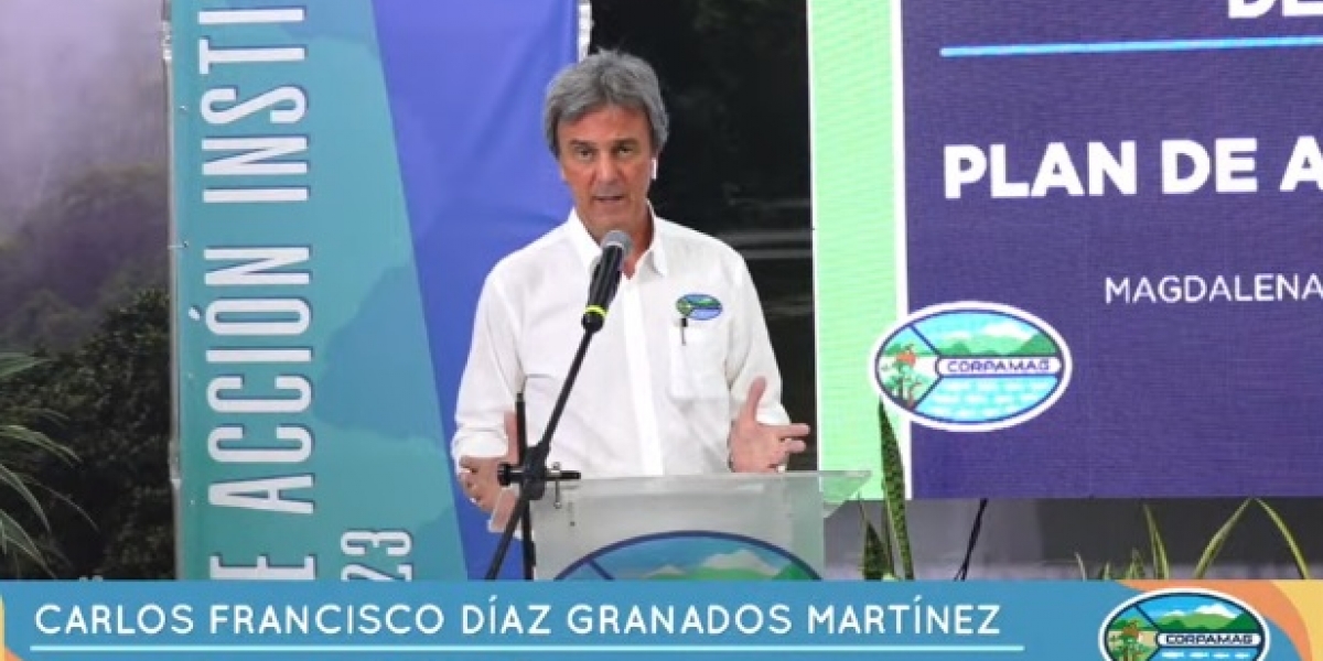Captura de pantalla Carlos Francisco Díaz Granados, director de Corpamag, presidió la audiencia pública virtual.