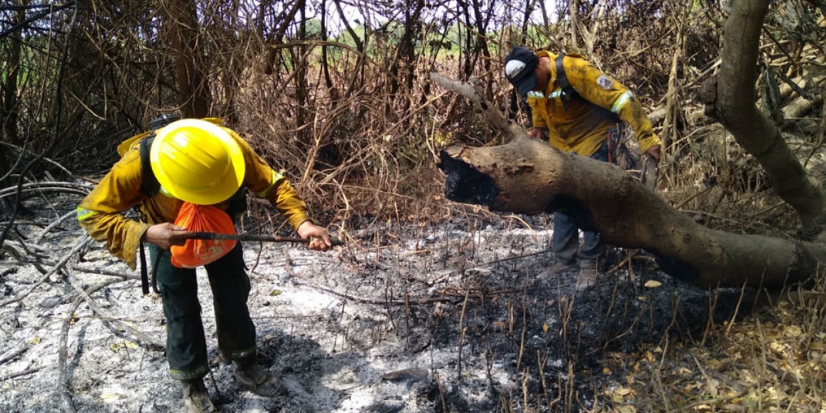 Parques Nacionales Naturales Incendio en el Vía Parque Isla de Salamanca.