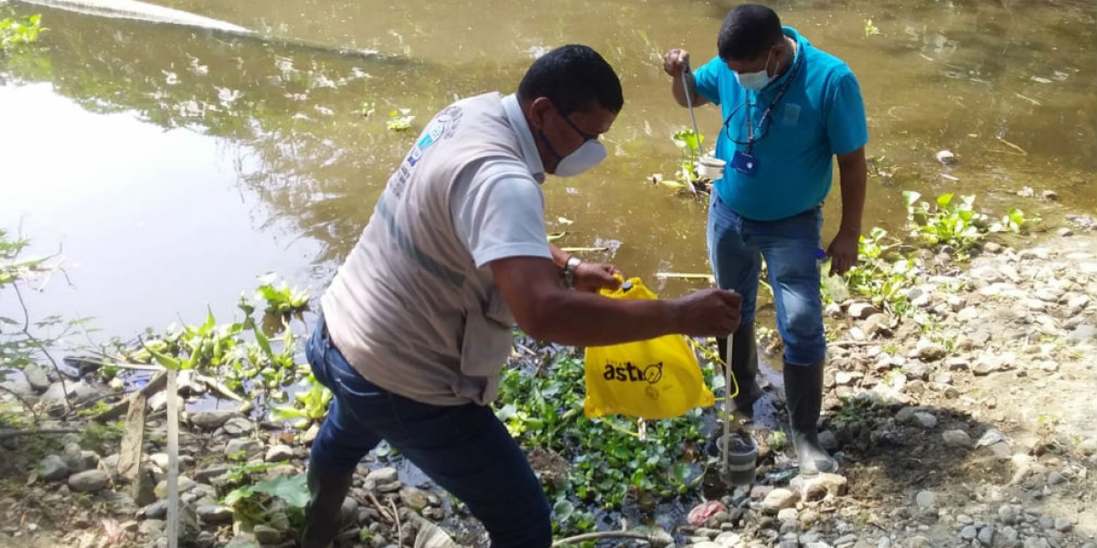 Alcaldía de Santa Marta Búsqueda del mosquito transmisor de la enfermedad.
