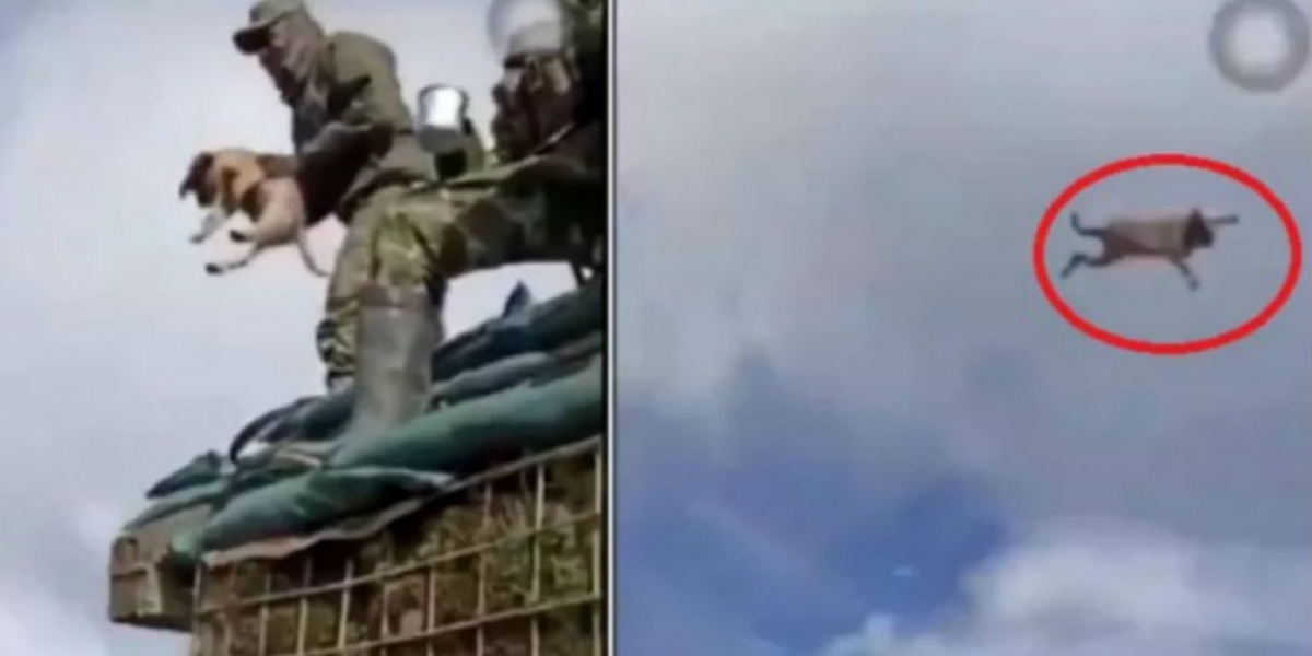 Captura de video Cortesía.