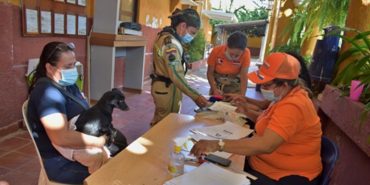 Cortesía Jornada de atención médica a los animales de Santa Marta