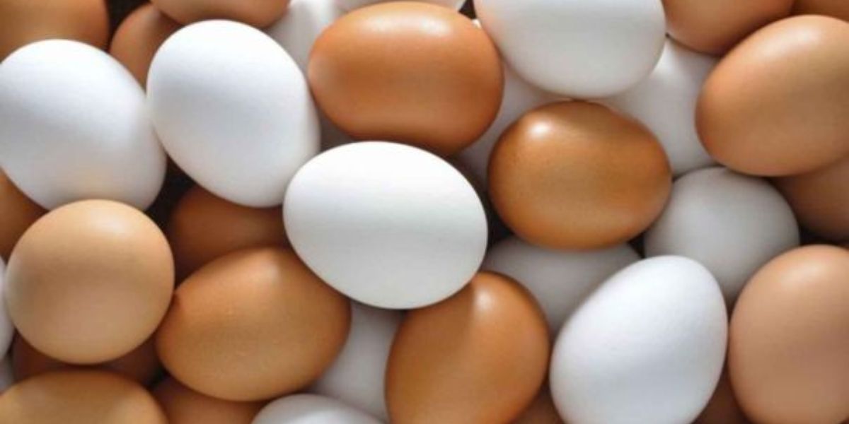 RPP Fenavi y la FCC resaltan que el consumo del huevo debe realizarse dentro de una dieta balanceada.