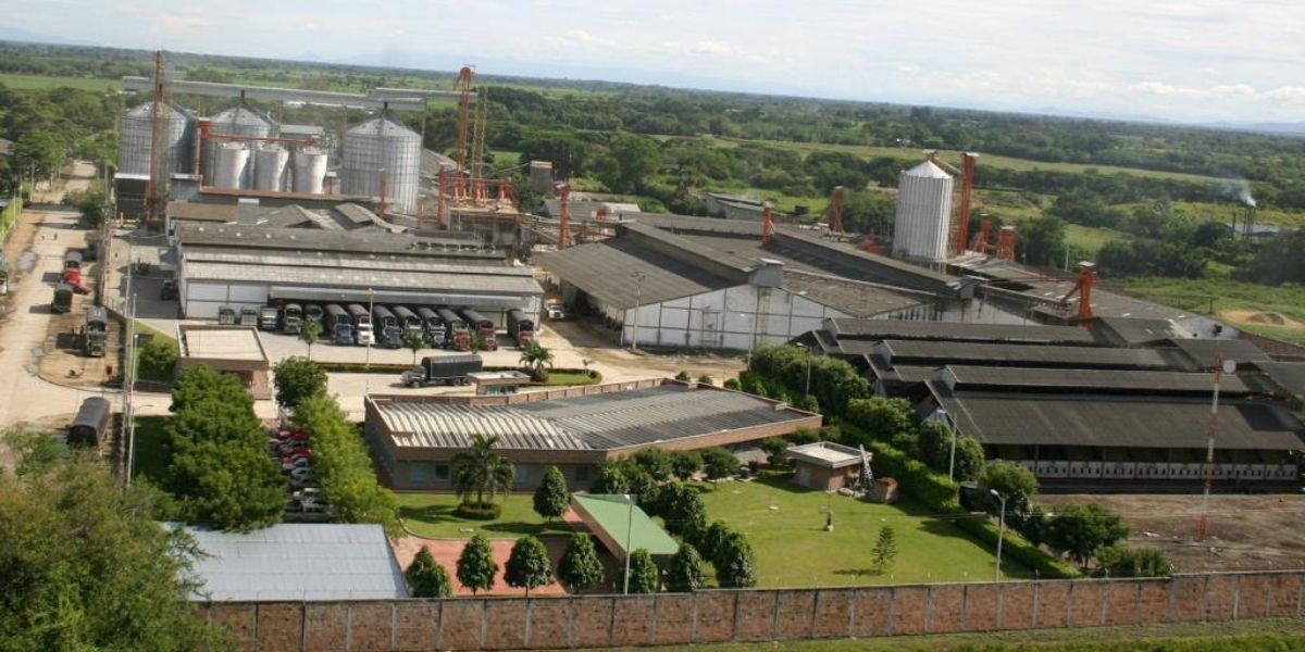 Cortesía Las familias colombianas seguirán recibiendo arroz de calidad global