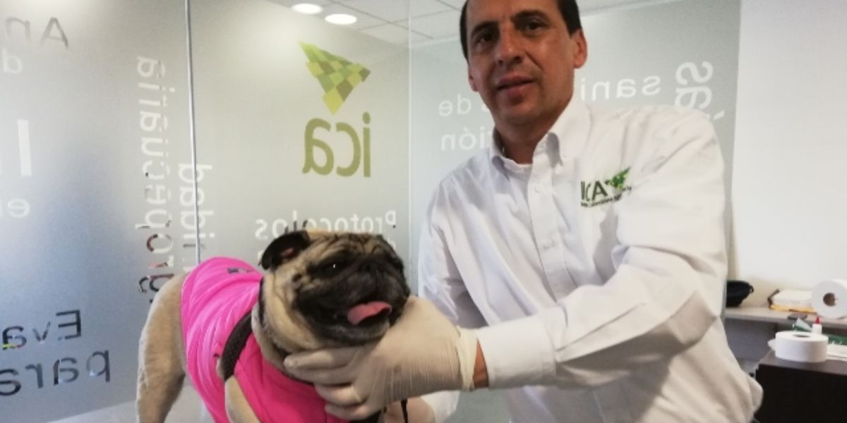 ICA El ICA facilitará el proceso de emisión del certificado sanitario.