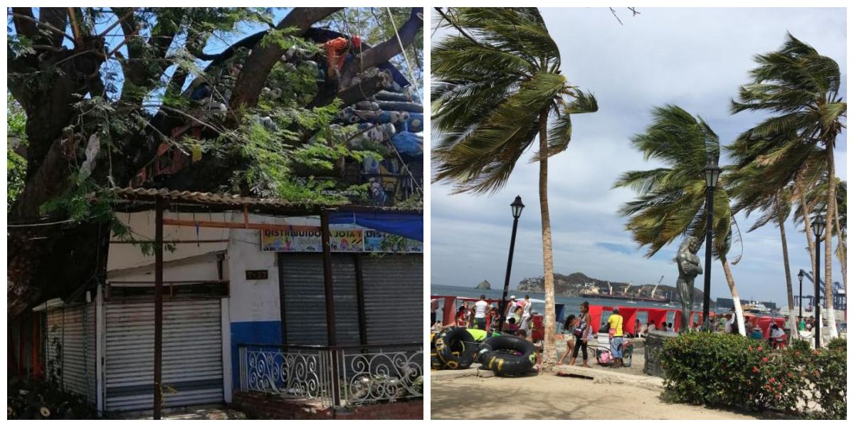Cortesía Fuertes vientos en Santa Marta.