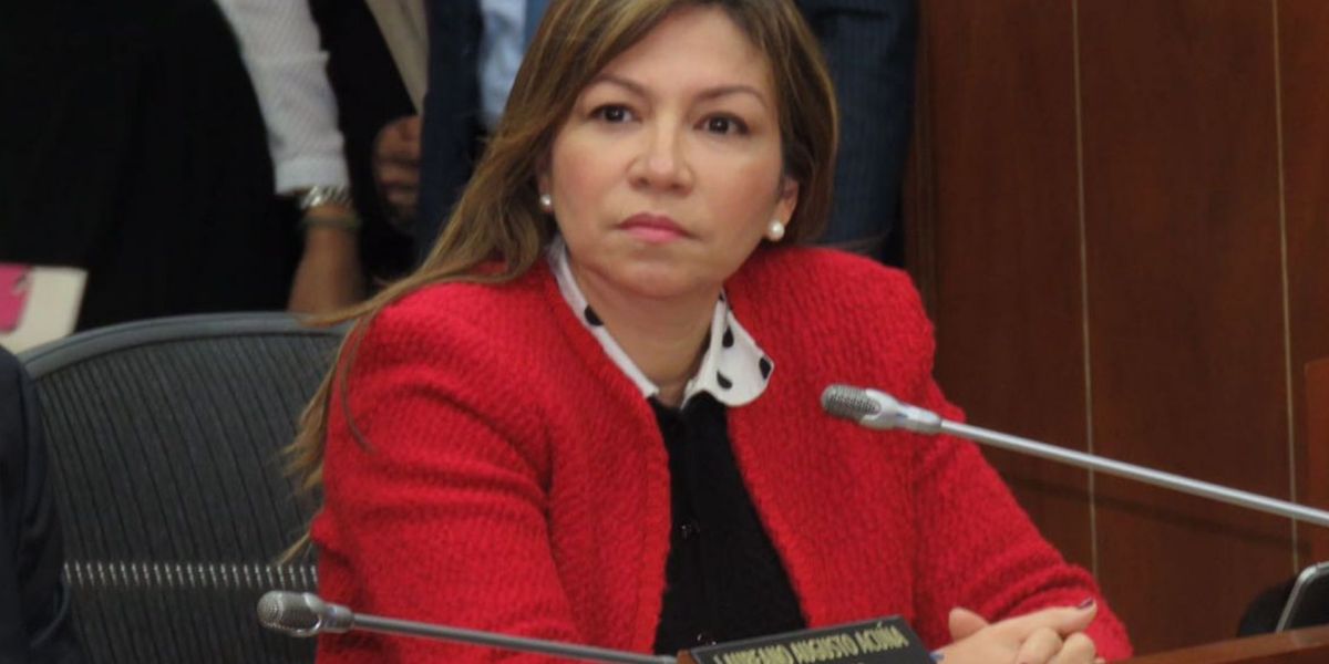Seguimiento Candidata investigada.