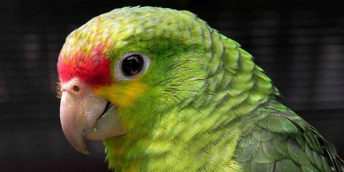 Internet Imagen de referencia