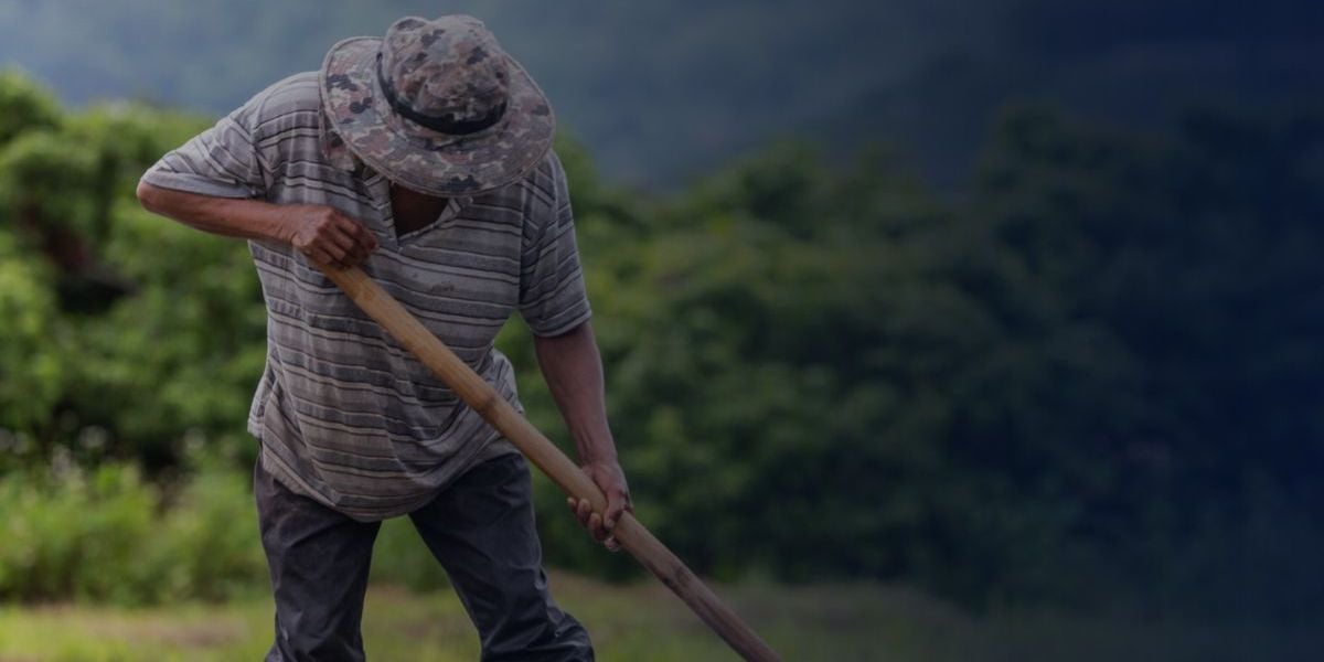 Observaciones de la Procuraduría sobre la compra de tierras y extinción de dominio