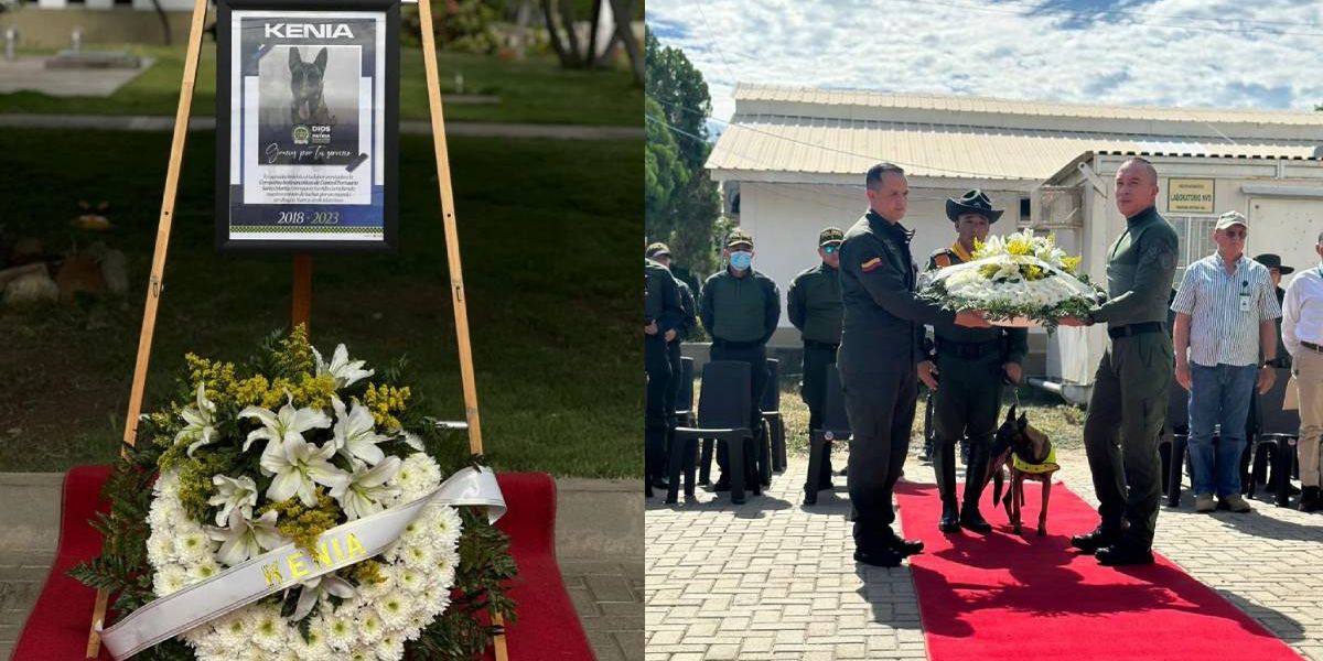 Homenaje a Kenia.