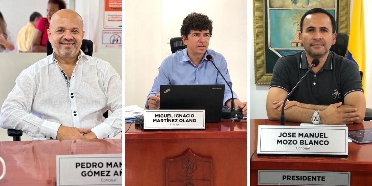 Seguimiento. Concejales del distrito