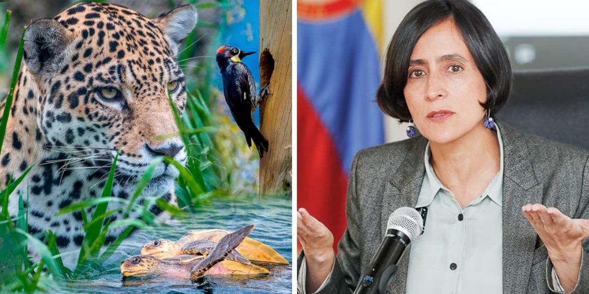 seguimiento. Cumbre de biodiversidad /La ministra de Ambiente, Susana Muhamad