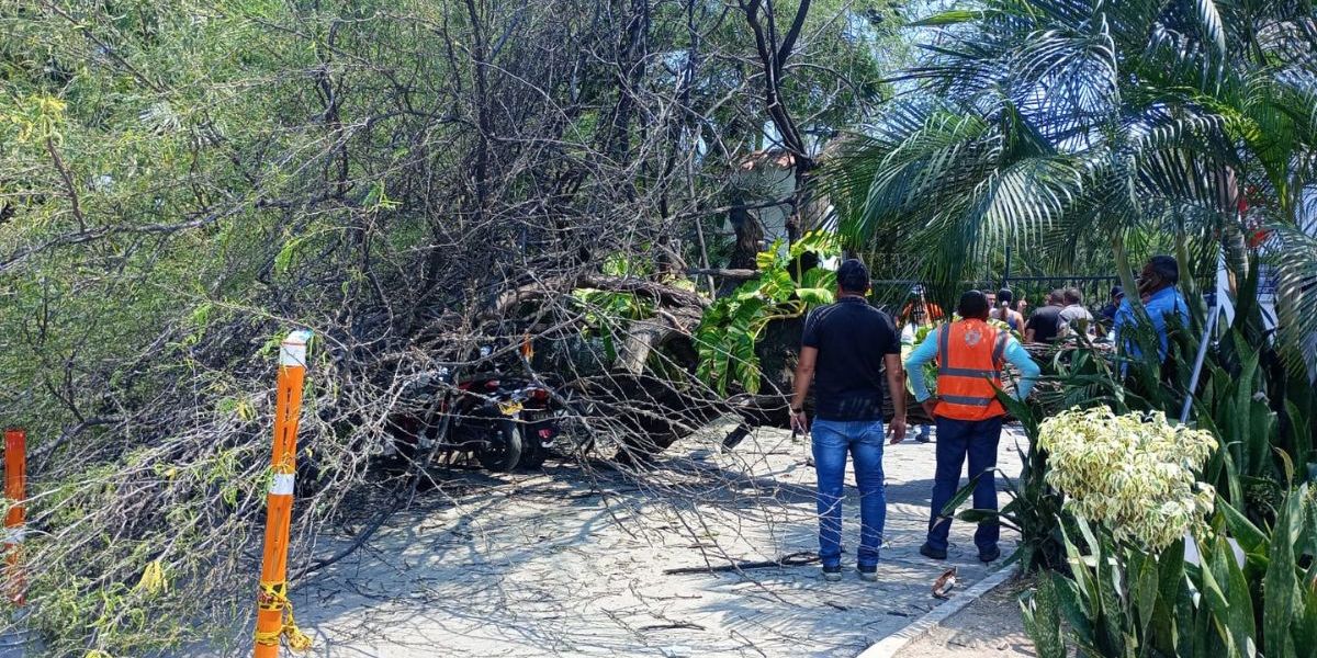 Cortesía. Lugar de los hechos.