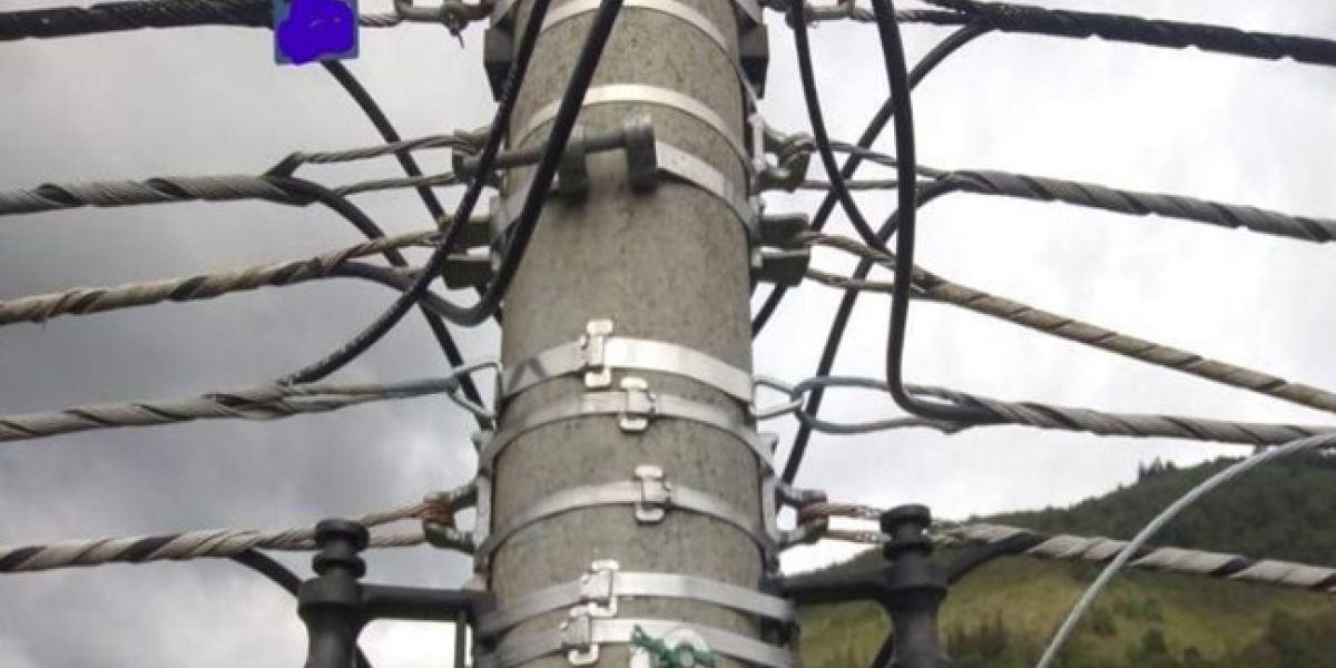 cortesía. foto referencia