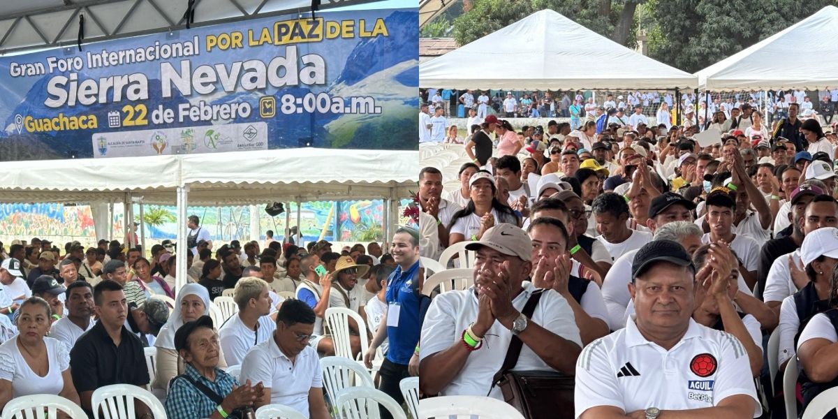 Seguimiento. Alto comisionado.