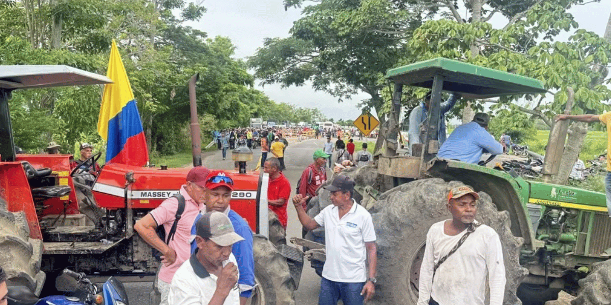 Cortesía Productores arroceros inician paro nacional indefinido por incumplimientos del Gobierno