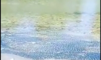 Captura de video
