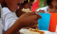 Se dejarán de entregar más de 2 millones 300 mil raciones de alimentos.