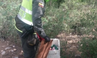 El recién nacido fue encontrado dentro de una nevera de icopor, cerca de la laguna de oxidación del municipio de Hatonuevo.