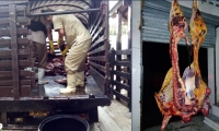  En total 2 toneladas de carne fueron decomisadas por el Invima en las dos plantas de beneficio animal.