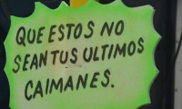 Campaña de conciencia vial en las fiestas del Caimán cienaguero