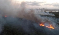 No hubo áreas de manglar afectadas por las llamas.