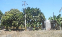 Finca Clara Esther, en el corregimiento de Riofrío