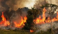 Incendios en la amazonía brasileña.