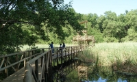 Vía Parque Isla de Salamanca 