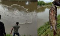 Personas pescando en el Parque del Agua