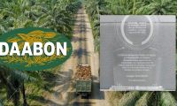 Grupo Daabon 