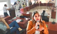 El proyecto no cuenta con viabilidad por parte de los expertos.