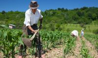 La nueva línea de crédito será priorizados para campesinos