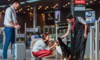 La aerolínea endureció las medidas para los viajes con mascotas