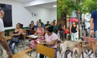 Ya iniciaron las clases