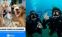 Todo el pago del curso será destinado a la jornada de esterilización