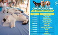 Cronograma de esterilizaciones